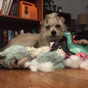 Meet your Posher, Maa360@yahoo.com